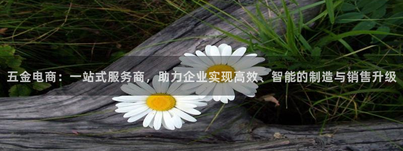 天宏娱乐有限公司