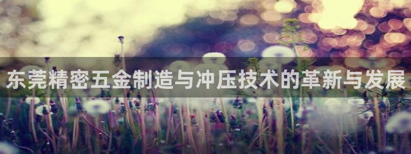天宏娱乐大叔团龙叔