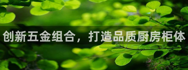 西安天宏娱乐老男孩事件
