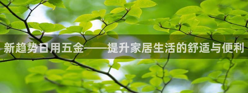 天宏娱乐2