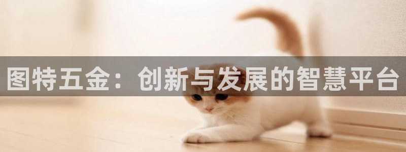 天宏娱乐韩叔抖音