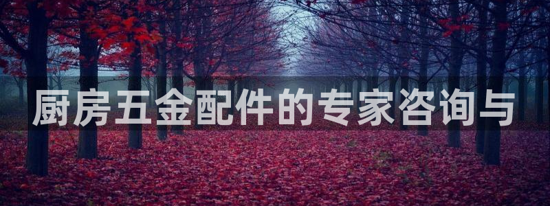 天宏娱乐大叔团队介绍视频