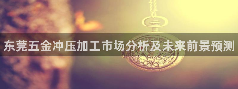 内蒙古天宏娱乐